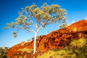 View Millstream Chichester National Park