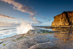 View Terrigal