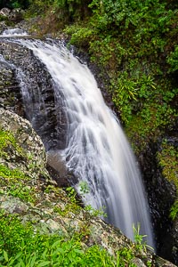 View Springbrook National Park