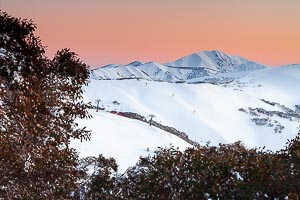 View Alpine National Park