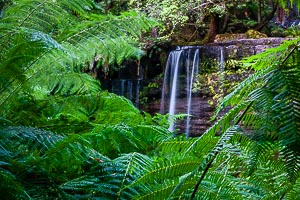 View Mount Field National Park
