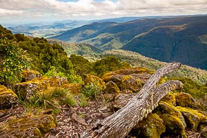 View Barrington Tops National Park