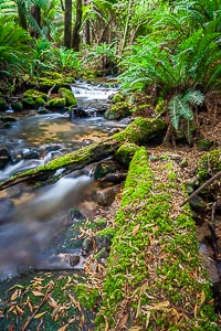 View Cuckoo Falls