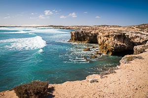 View Cactus Beach