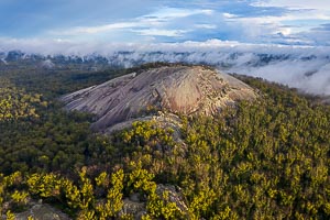 View Bald Rock National Park