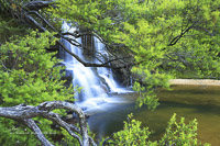 Wentworth Falls, Blue Mountains