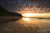 Forresters Beach, Central Coast, NSW