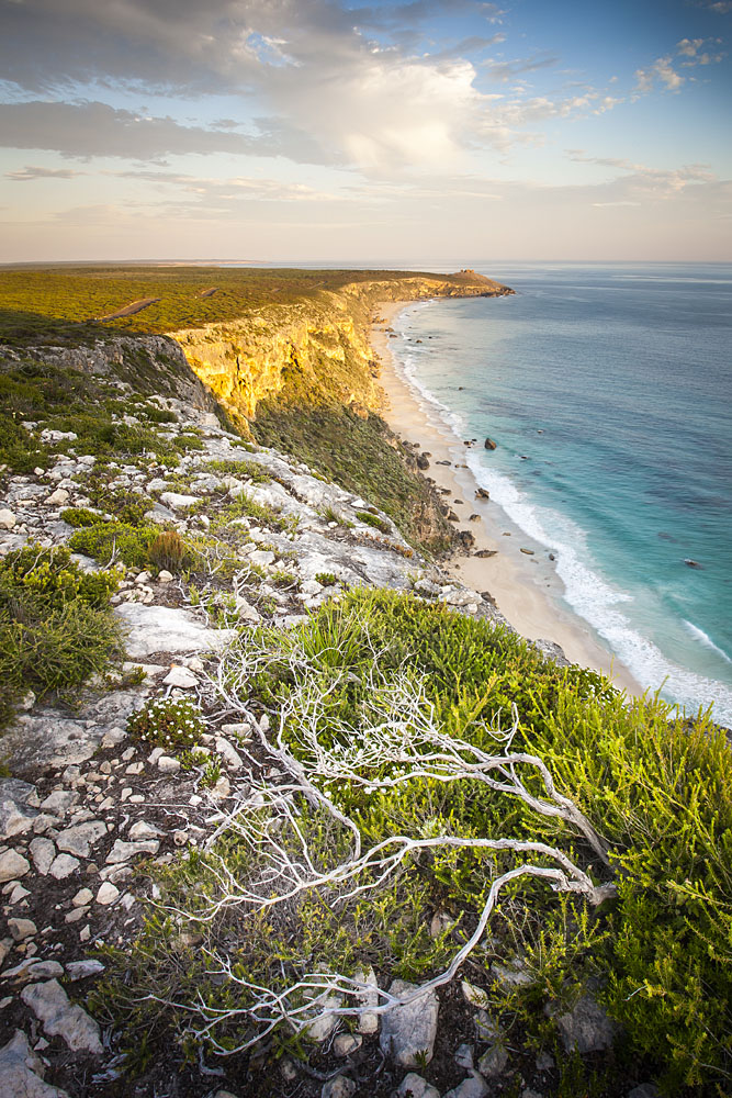 View from Remarkable Rocks Lookout View from Remarkable Rocks Lookout
